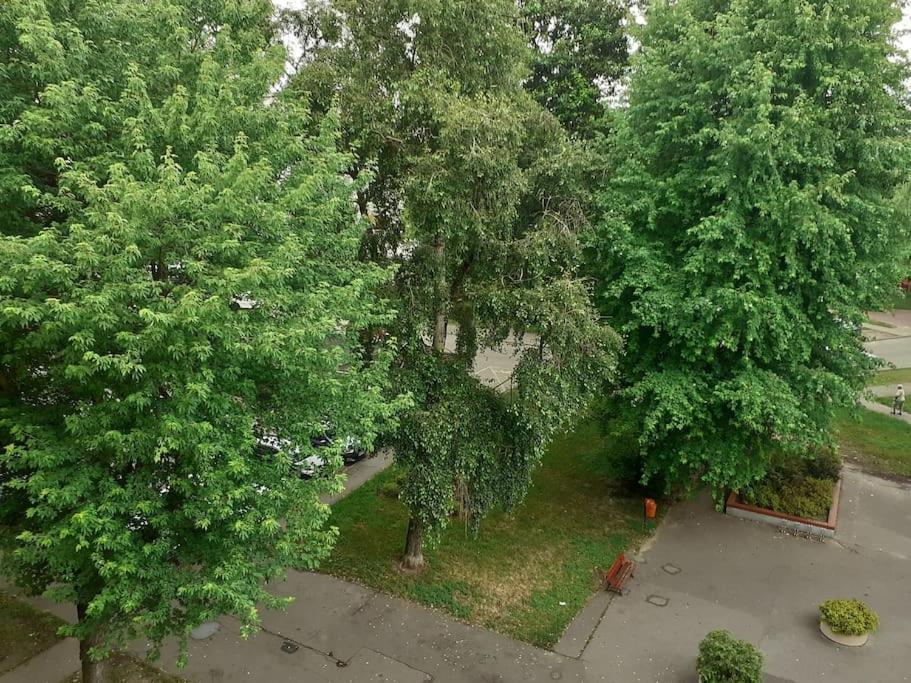 Kawalerka Stare Bielany * Warszawa